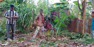 Dikira Bangkai Binatang, Tenyata Bau Bunga Bangkai