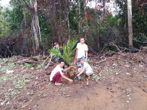 Cegah Longsor, Warga Aur Cino Tanam Pohon Sawit