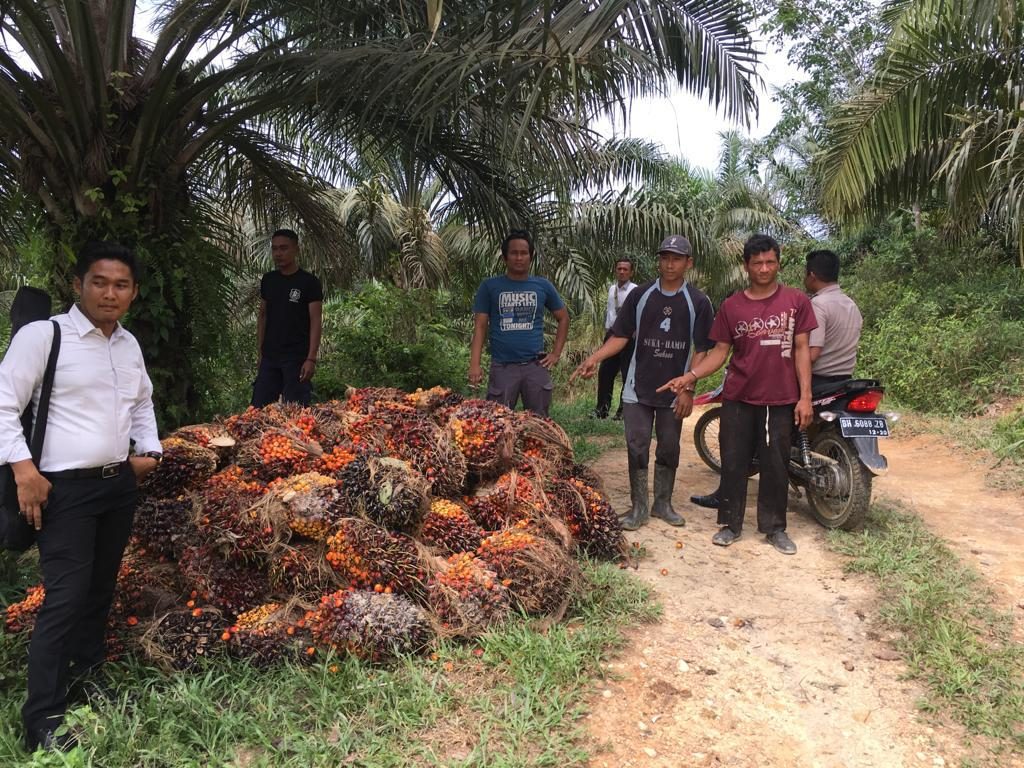 Tim Sultan Amankan Dua Pelaku Pencurian TBS