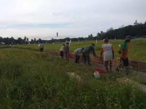 Babinsa Koramil 416-04/Pulau Temiang Bantu Petani Buat Saluran Irigasi Sawah