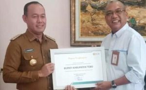 Bupati Tebo Terima Penghargaan dari PLN