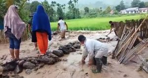 Selain Angin Puting Beliung, Banjir Bandang Terjang Sungai Penuh