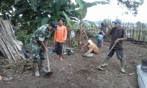 Babinsa Koramil 416-05/Muara Tebo Bantu Petani Siapkan Lahan Bibit Padi
