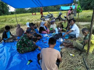 Babinsa Koramil 01/Rantau Pandan Bantu Panen Padi Warga