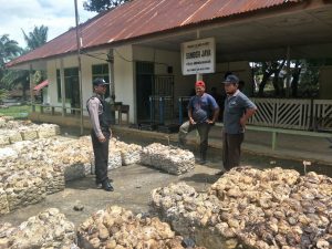 Harga Karet Murah, Nyadap Seminggu Tak Cukup Untuk Kebutuhan Harian