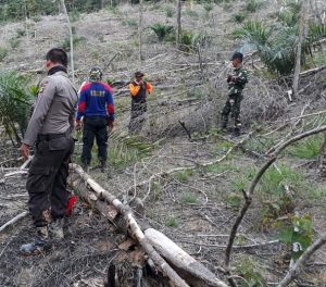 Babinsa Koramil 416-05/Muara Tebo Gelar Patroli Karhutla Gabungan
