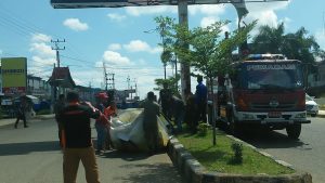 Panwascam Rimbo Bujang, Turunkan APK Caleg Yang Masih Terpasang