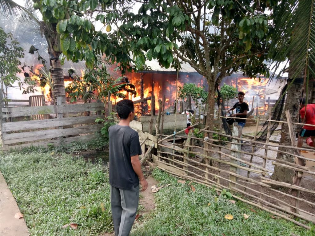 Ditinggal Pergi ke Sawah, Rumah Warga Tebo Hangus Jadi Arang