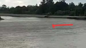 Diterpa Angin Kencang Saat di Jembatan Gantung Warga Bungo Hilang di Sungai