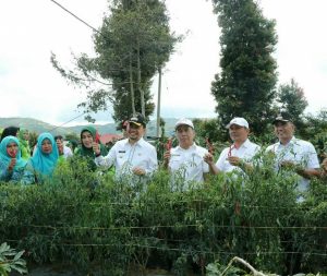 Wakili Jambi di Tingkat Nasional, Bupati Kerinci Beserta Ketua PKK Lakukan Pembinaan di Desa Mekar Sari