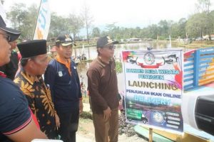 Bupati Kerinci Dampingi Plt Gubernur Panen Ikan dan Launching Penjualan Ikan Online