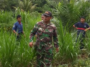Babinsa Pelda Alde, Gelar Patroli Cegah Karhutla