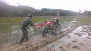 Babinsa Koramil 01 Rantau Pandan Bantu Petani Garap Sawah