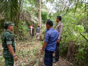 Babinsa Koramil 06/Muara Bungo, Gelar Patroli Cegah Karhutla