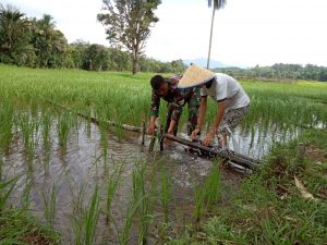 Babinsa Koptu Ulil Amri, Bantu Membuat Saluran Air Sawah Dari Bambu