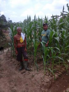 Babinsa Koramil 03/Sungai Bengkal Cek Tanaman Jagung