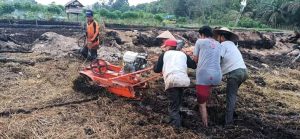 Akibat Kemarau, Petani Lubuk Benteng Tunda Menanam Padi