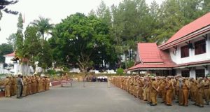 Wabup Ami Taher Intruksikan OPD dan ASN Sukseskan TdS Pada Apel Gabungan