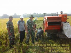 Serka Zarkisman, Dampingi Petani Panen Padi