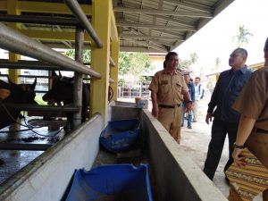 Pastikan Pasokan Daging Terpenuhi, Bupati Bungo Tinjau Rumah Potong Hewan
