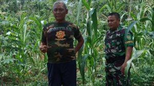 Babinsa Serda Salhutni, Motivasi Kemajuan Petani Palawija