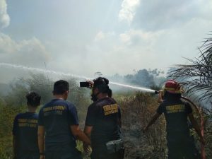 Dua Lokasi Kebakaran Lahan Terjadi di Bungo