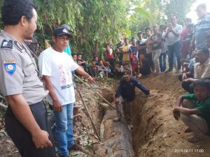 Warga Tebo, Temukan Tulang Belulang di Perut Buaya