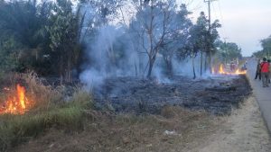 Sepadan Jalan Terbakar, Kebun dan Rumah Warga Nyaris Terbakar