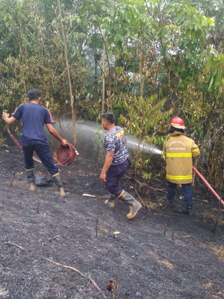 Lagi-lagi, Kebakaran Lahan Terjadi di Bungo