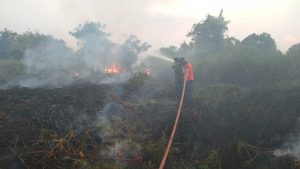 Hampir Setiap Hari, Damkar Bungo Padamkan Api