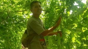 Menggali Segudang Potensi Desa Yang Masih Terpendam