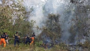 Dua Hektar Lahan Kembali Terbakar di Wilayah Bungo