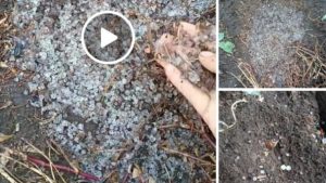 Hujan Es Kembali Guyur Kerinci