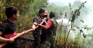 Lahan Sawit Terbakar, TNI dan Damkar Berjibaku Padamkan Api