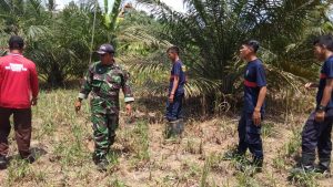 Babinsa Pelda Alde, Kembali Lakukan Giat Patroli Karhutla