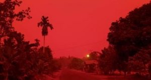 Gawat.!! Siang Hari di Sengeti Seperti Malam