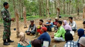 Babinsa Sertu Umar, Himbau Masyarakat Jangan Bakar Lahan