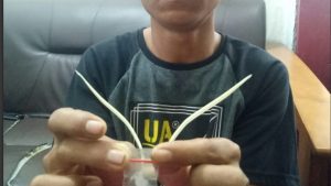 Bandar Narkoba di Tebo Tak Berkutik Saat Dibekuk Polisi
