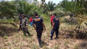 Pelda Alde Bersama Damkar Gelar Patroli Karhutla