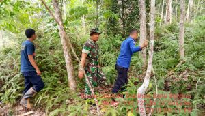 Babinsa Koramil 06/Muara Bungo Gelar Patroli Karhutla