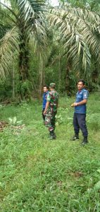 Sertu Alhafis dan Anggota Damkar Gelar Patroli Karhutla