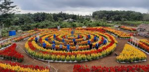 Pj Kades Sukadamai, Ajak Karang Taruna Ciptakan Usaha Produktif