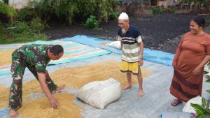 Sertu Teguh, Bantu Jemur Padi Warga