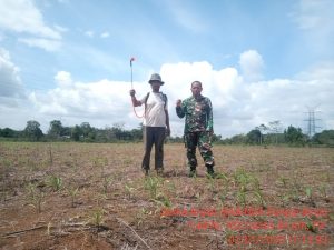 Serka Aripin, Monitoring Tanaman Jagung Petani