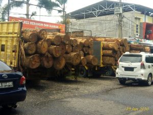 Polres Merangin, Amankan Lima Truk Kayu Log