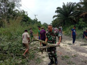 Danramil 416-02/Tanah Tumbuh Bantu Warga Bersihkan Pohon Tumbang