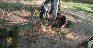 Satgas TMMD Bersihkan Pekarangan Rumah Orangtua Asuh