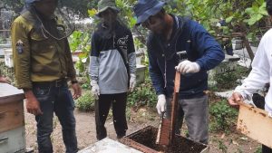Belajar Budidaya Lebah Madu di KTH Joho Lestari