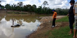 Breaking News…Warga Tanjung Menanti Temukan Mayat di Sungai