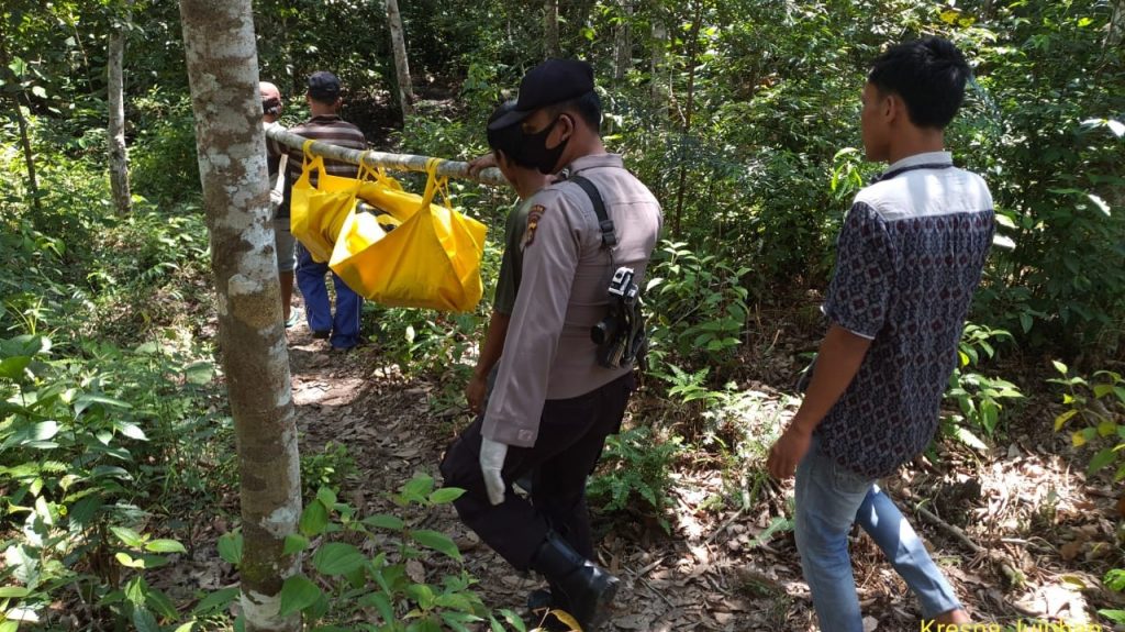 Penyadap Karet di Bungo, Ditemukan Membusuk di Dalam Pondok